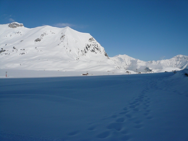 20080401_003.jpg