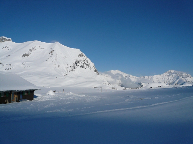 20080401_006.jpg