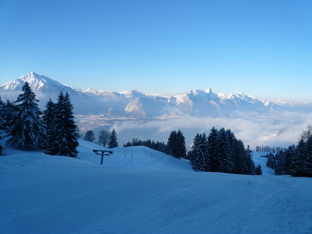 20090215_002.jpg