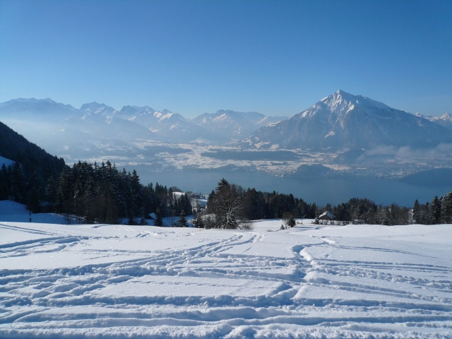 20090215_005.jpg