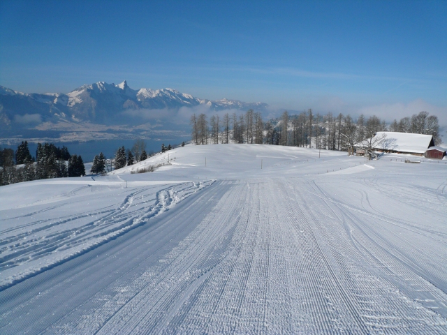 20090215_006.jpg